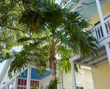 Parmer's Resort