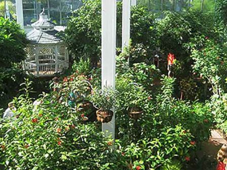 A lush, indoor garden features various plants, hanging baskets, and a white gazebo with glass walls in the background, providing a serene atmosphere.