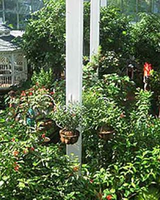 A lush, indoor garden features various plants, hanging baskets, and a white gazebo with glass walls in the background, providing a serene atmosphere.