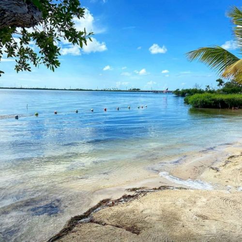 A tropical beach on a calm bay with palm trees, clear shallow water, and swimmers bobbing in the distance under a blue sky.