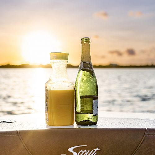 A bottle of orange juice and a bottle of wine are placed on a boat's seat with "Scout" branding, against a sunset over the water.