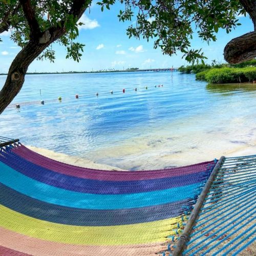 Relax in a colorful hammock by the clear blue beach, with calm bay waters, swimmers floating, and green trees overhead.