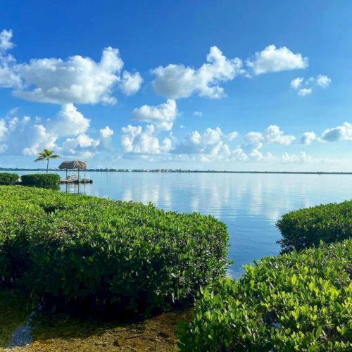 A tropical lakeside view with lush green shrubs, a small dock and hut by calm water, and bright blue skies with clouds.