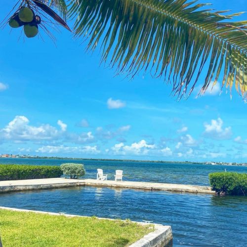 Tropical ocean view with palm fronds overhead, a small pool by the shore, and two white chairs under a bright blue sky.