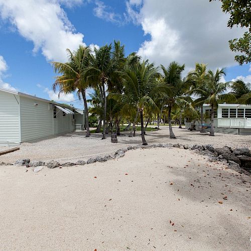 A sunny resort courtyard with gravel, scattered palm trees, and white buildings with patios under a blue sky.
