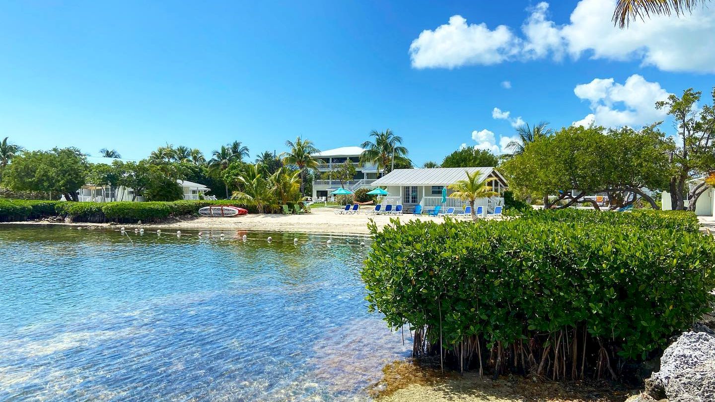 A beautiful beachside scene featuring clear water, lush greenery, palm trees, and quaint buildings under a bright blue sky with scattered clouds.