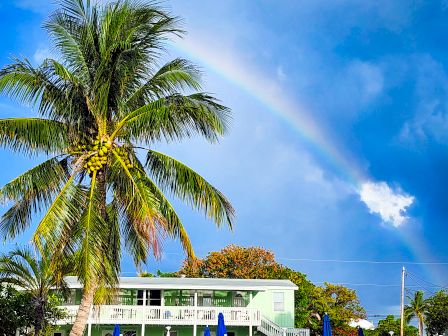 A tropical scene with a tall palm leaning over a sandy area, a modern white building, a rainbow arching across a blue sky, and lush greenery nearby.