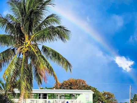 A tall palm tree stands by a bright green-and-white building under a blue sky with a faint rainbow.