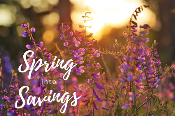 Purple flowers in a field with a sunset background, featuring the text "Spring into Savings."