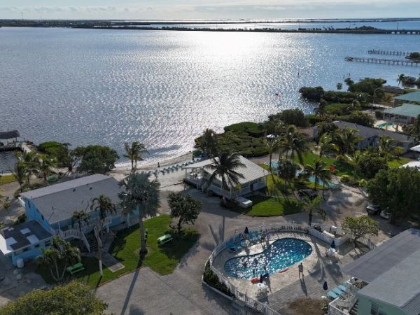 A coastal area with houses, palm trees, a pool, and a view of the water, capturing a serene and scenic atmosphere with sunlight reflecting.