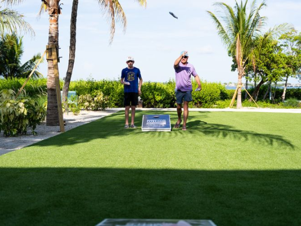 Two people stand on a sunny lawn by palm trees, game setup in front, a bird flies overhead near a waterfront.