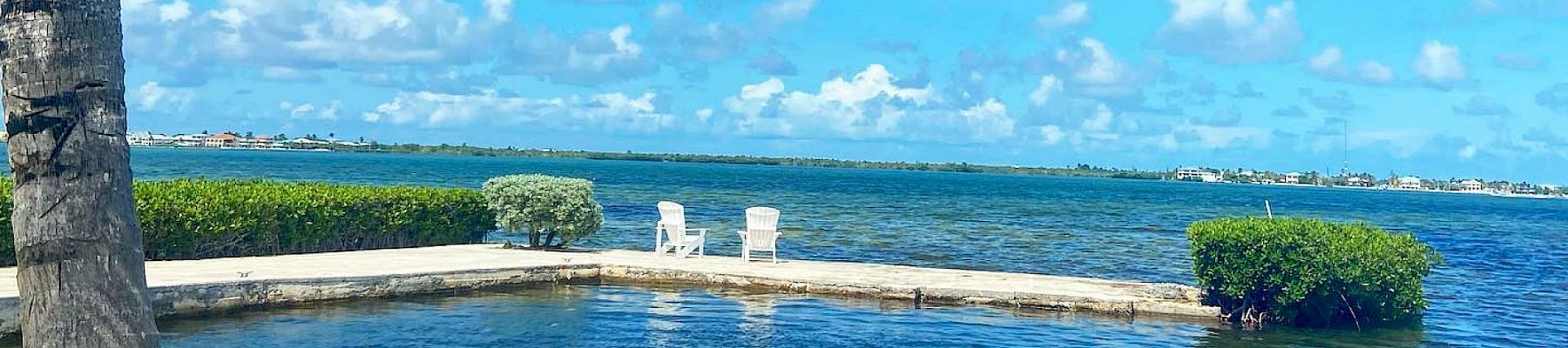 Turbo tropical scene: a sunny coastal yard with a concrete ledge over calm blue water, a leaning palm tree, and a bright sky with fluffy clouds.