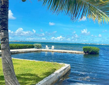 Turbo tropical scene: a sunny coastal yard with a concrete ledge over calm blue water, a leaning palm tree, and a bright sky with fluffy clouds.