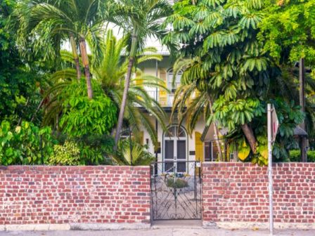 A brick wall with a metal gate hides a lush, tropical yard full of tall palm trees and dense green foliage surrounding a doorway. End.