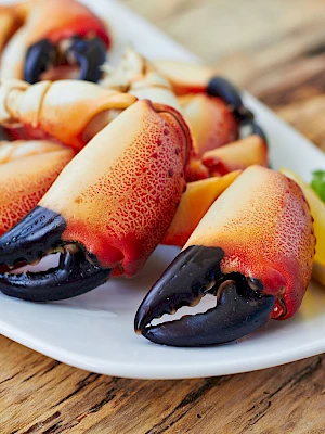 Shaped like tiny boats: fruit-topped claws dipped in chocolate, plated with lemon wedges and a sprig of greenery, perfect for a sweet bite.