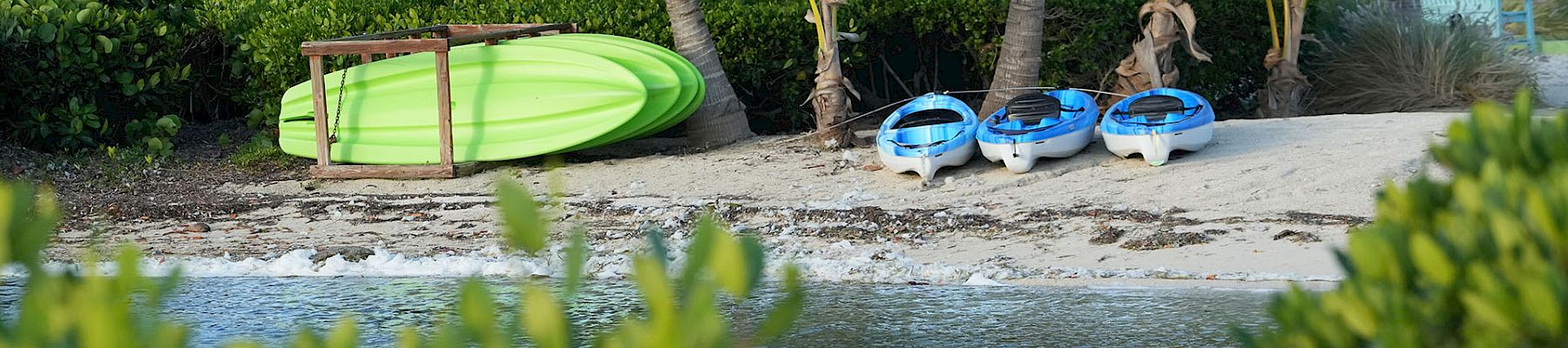 Colorful boats and kayaks on a sandy beach with palm trees, greenery in foreground, and calm water nearby. End.