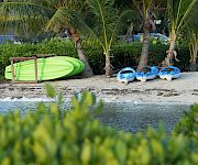 Colorful boats and kayaks on a sandy beach with palm trees, greenery in foreground, and calm water nearby. End.