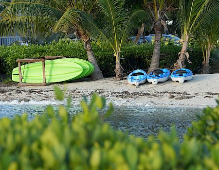 Colorful boats and kayaks on a sandy beach with palm trees, greenery in foreground, and calm water nearby. End.