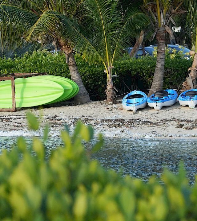 Colorful boats and kayaks on a sandy beach with palm trees, greenery in foreground, and calm water nearby. End.