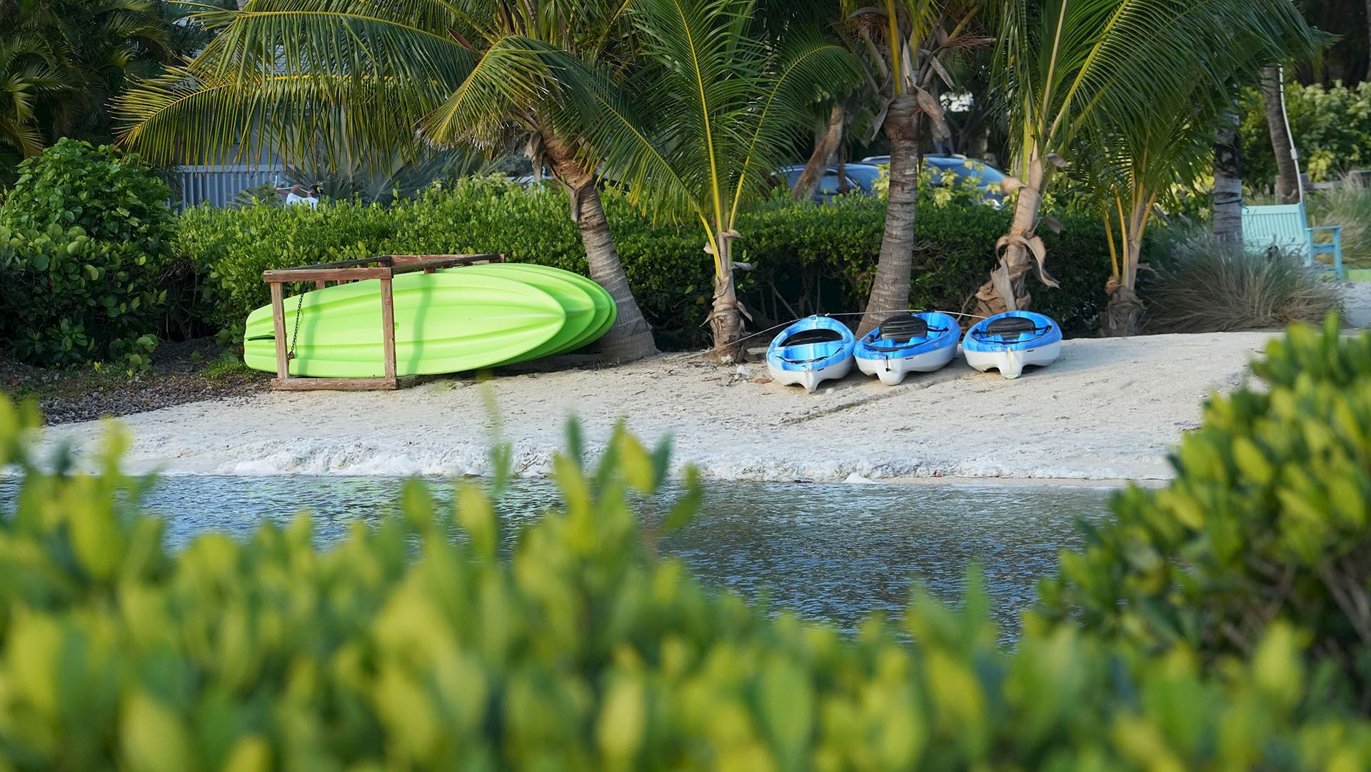 Palm-shaded beach scene with a green kayak on the sand and three blue kayaks/boats by the water.