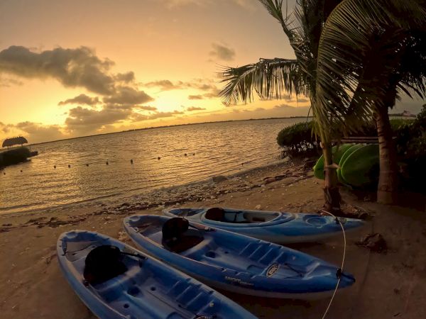 A peaceful tropical beach at sunset with palm fronds and two blue kayaks resting on the sand by the shore.