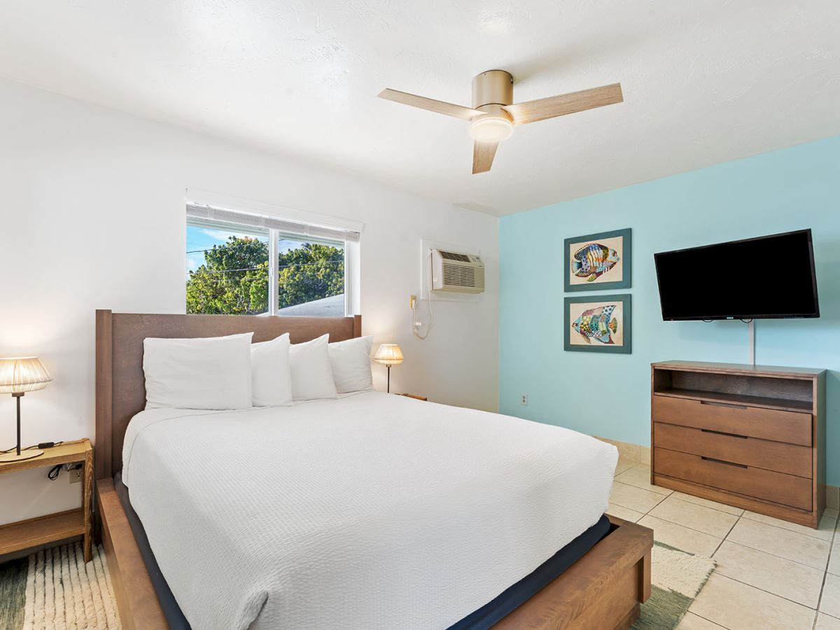 A clean hotel-style bedroom with a king bed, teal accent wall, wall-mounted TV, dresser, ceiling fan, and natural light from a window, relaxing vibe atrav&eacute;s.